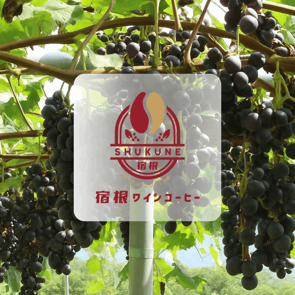 宿根ワイン珈琲